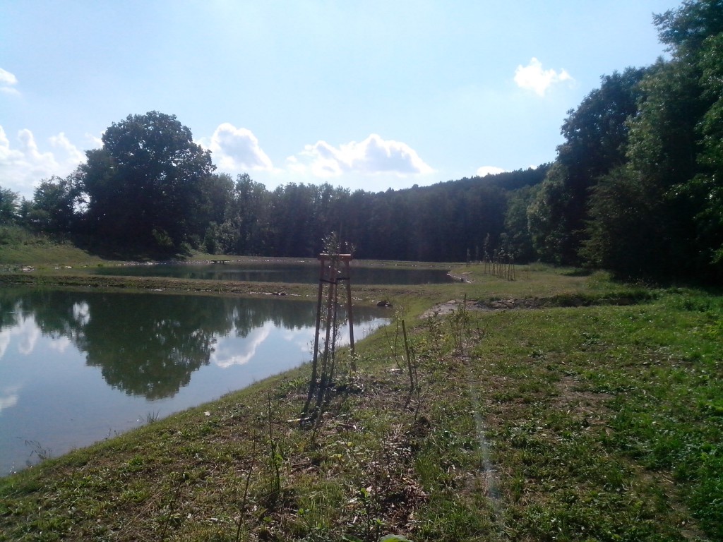 výsadba stromů a keřů u rybníka v Bojkovicích