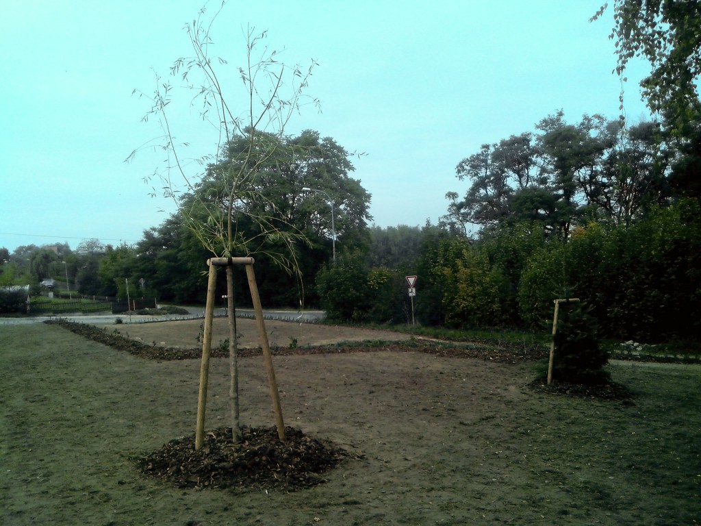 obnova zahrady u obecní školy ve Chvaleticích