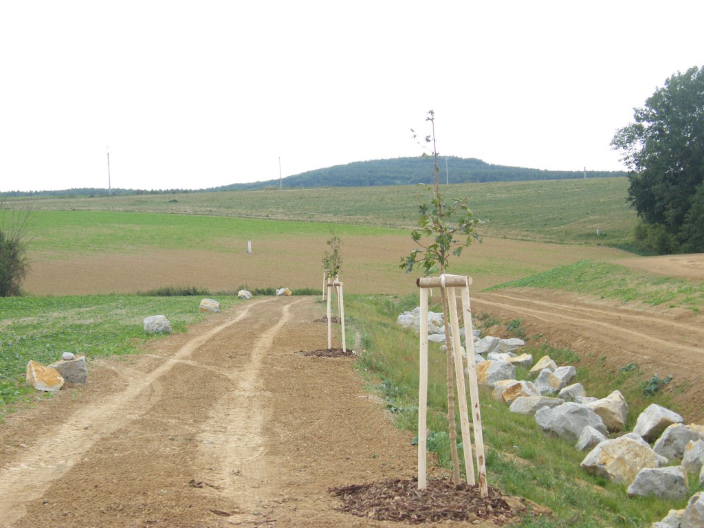 biologická rekultivace ve Fryštáku