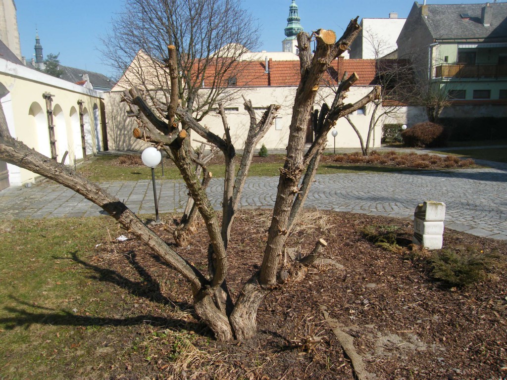 revitalizace zahrady v základní umělecké škole v Kroměříži