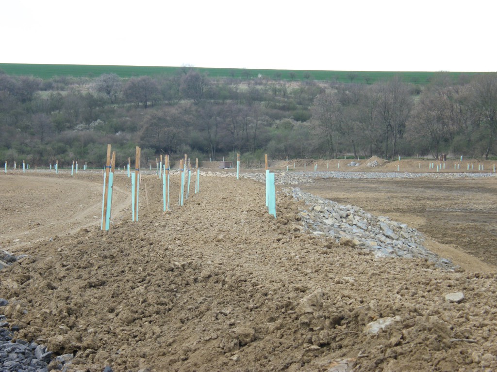 revitalizace náhonu a rybníka s výsadbou dřevin