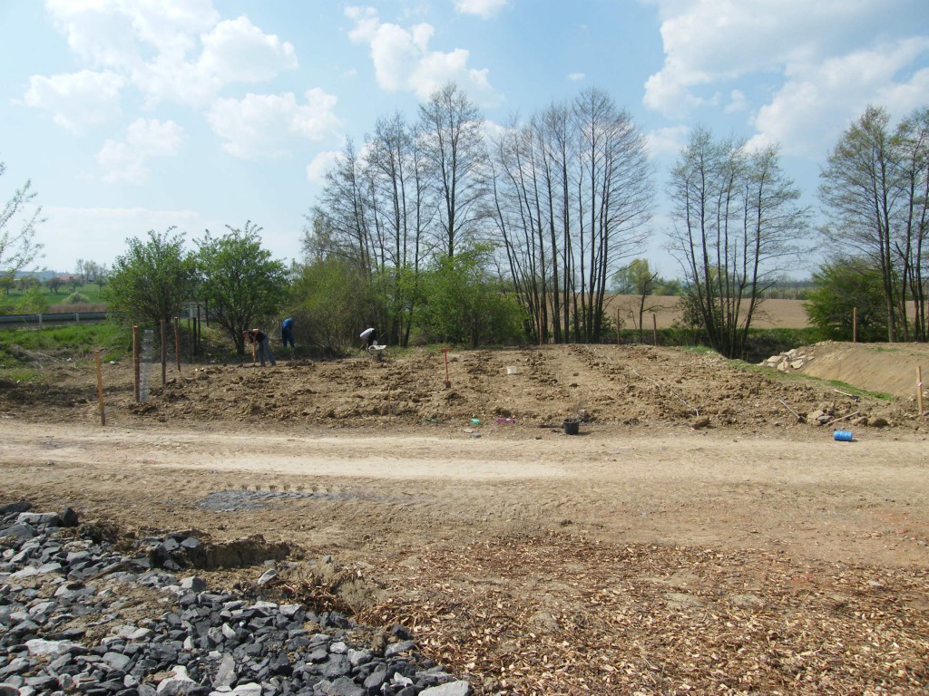 revitalizace náhonu a rybníka s výsadbou dřevin